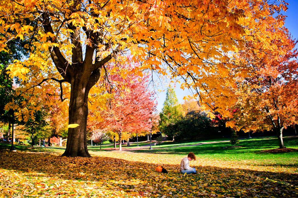 Tapping into the potential of your home town